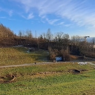 Landschaft mit Wiese, Bäumen und Häusern im Hintergrund.