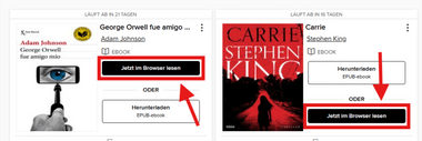 Webseite zeigt zwei eBooks mit Schaltflächen zum im Browser lesen oder hören.