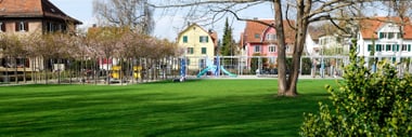 Park mit Rasenfläche, Bäumen und Spielplatz vor bunten Häusern.
