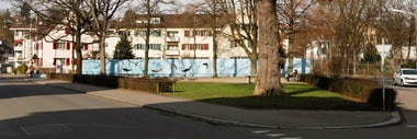 Strassenszene mit Bäumen und Wohngebäuden im Hintergrund.