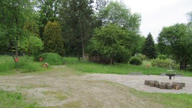 Waldlichtung mit Feuerstelle und Baumstümpfen.