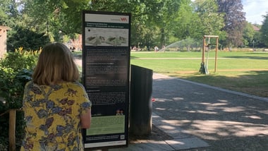 Person liest Informationstafel im sonnigen Park.