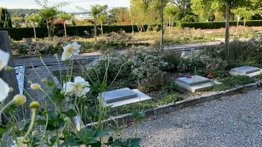 Friedhof mit Blumen und Grabsteinen unter Bäumen.