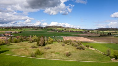 Landschaft Reutlinger Ried mit Feldern und Bäumen unter blauem Himmel mit Wolken.