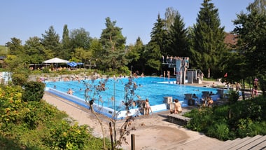 Aussenpool mit Sprungturm und umgeben von Bäumen.