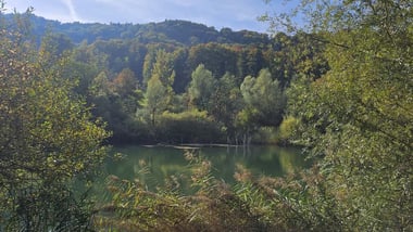 Naturschutzgebiet Lehmgrube Dättnau mit kleinem See und Bäumen..