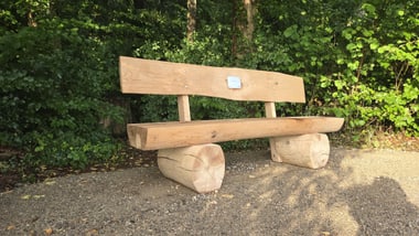 Holzbank auf einem Kiesweg vor Bäumen.