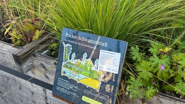 Hinweisschild vor einem Holzkasten mit hohen Gräsern.