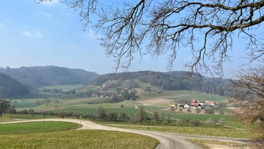 Landschaft mit geschwungener Strasse, Feldern und Hügeln.