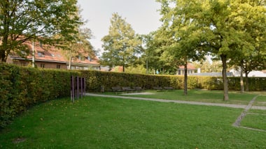 Grüne Rasenfläche mit Bäumen und Bänken in einem Park.