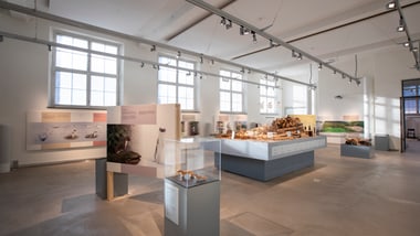 Heller Ausstellungsraum mit Exponaten auf Podesten und Informationstafeln.
