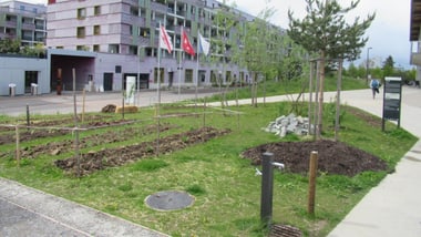 Wohngebäude mit bepflanztem Vorgarten und Fahnen.