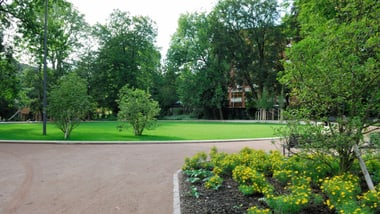 Ein Park mit Bäumen, Rasen und Blumenbeet.