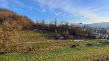 Landschaft mit Wiese, Bäumen und Häusern im Hintergrund.