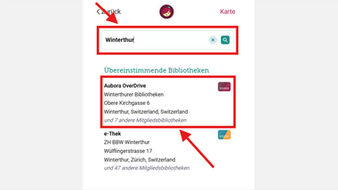 Screenshot einer Bibliothekssuche nach 'Winterthur' mit Ergebnissen.