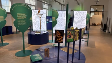 Ausstellung mit Texttafeln und beleuchteten Schaubildern in einem Raum.