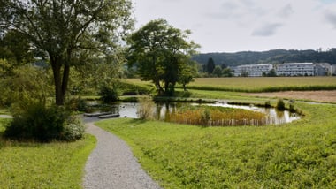 Ein geschwungener Weg führt zu einem kleinen Teich mit Bäumen und Gebäuden im Hintergrund.