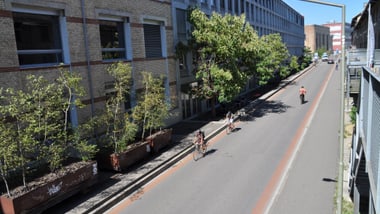Veloroute Töss mit Fahrradfahrern und Bäumen.