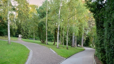 Zwei Wege in einem grünen Park mit Bäumen.