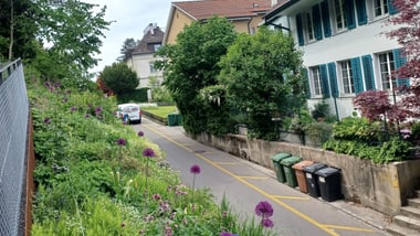 Strasse zwischen Wohnhäusern und einer Stützmauer, die oben bepflanzt ist..