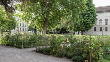 Garten mit Bäumen, Blumen und historischem Gebäude.