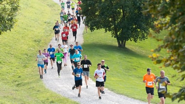 Bild der Winti-Sola 2018
