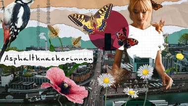 Collage mit einer Frau, Schmetterlingen, Vögeln und Blumen über einer Stadtlandschaft.