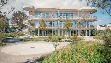 Begrünung am Schulhaus Wallrüti in Winterthur.