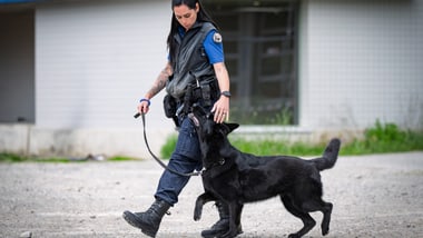 Person in Uniform mit schwarzem Hund auf Kiesweg.