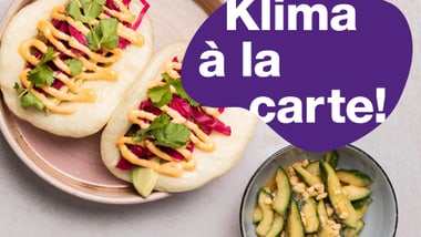 NewsletterHoW_4_3_