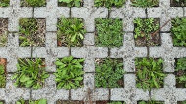 Gittersteine mit Gras bewachsen.