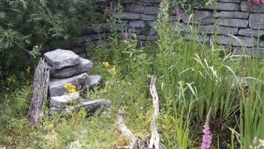 Steinmauer mit Wildblumen und Gräsern im Vordergrund.