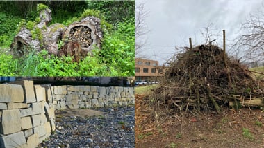 Kombination von Naturmotiven mit Baumstümpfen, Steinmauer und Reisighaufen.