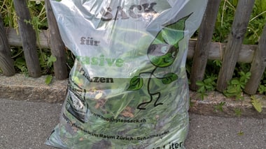 Grosser Neophytensack vor einem Holzzaun.