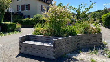 01_Mobiles Grünelement Weberstrasse_Juni 2022