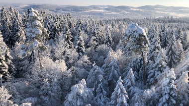 Luftaufnahme von verschneitem Wald und Hügeln.