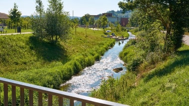 Kleiner Fluss durch eine grüne Landschaft mit Bäumen und Gras.