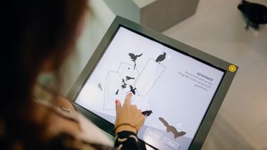 Person bedient interaktive Ausstellung mit Bildschirm.