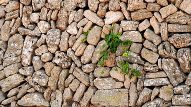 Detailierte Steinmauer mit grünen Pflanzen.