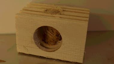 Holzblock mit rundem Loch und Spänen darin.