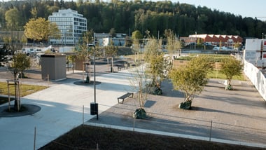 Offener Platz mit Bäumen und Gebäuden im Hintergrund.