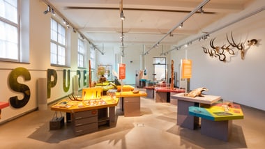 Innenansicht eines modernen Museumsraums mit verschiedenen Ausstellungsstücken und Wanddekorationen.