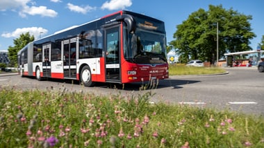 Stadtbus auf der Linie 22 mit blühenden Blumen im Vordergrund.