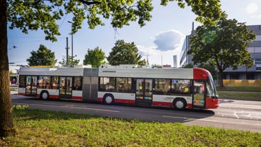 Bus auf der Linie 5 auf einer Strasse mit Bäumen im Hintergrund.