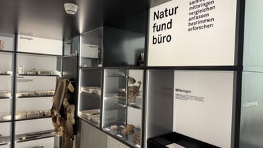 Ausstellungswand mit Regalen und einem Schild im Naturkundemuseum.