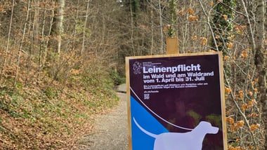 20260325 Bild Infotafel Leinenpflicht