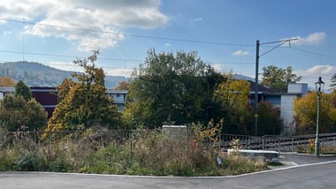 Hügelige Landschaft mit Bäumen und Gebäuden im Hintergrund.