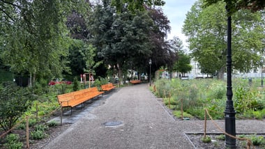 Parkweg mit Bäumen und Bänken.