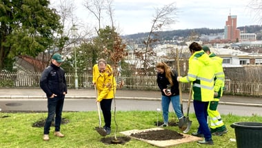 Mehrere Personen pflanzen einen Baum auf einer Wiese unterhalb des Rosengartens in Winterthur.