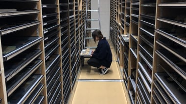 Person in einem Archivgang vor einem Regal.